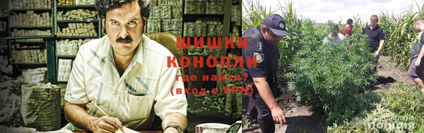 бошки Арсеньев